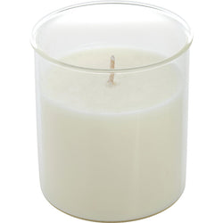 LAVENDER & HONEY by Northern Lights (UNISEX) - ESQUE CANDLE INSERT 9 OZ